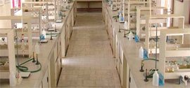 Facilities